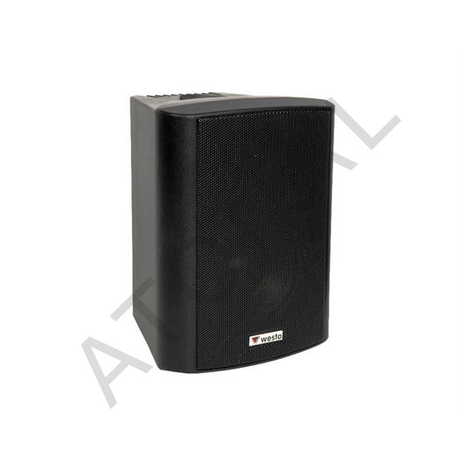 WS-5TB, 13CM Hat TR Plastik Kabin Hoparlör, Siyah 125W (TAKIM)