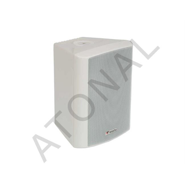 WS-5TW, 13CM Hat TR Plastik Kabin Hoparlör, Beyaz 125W (TAKIM)