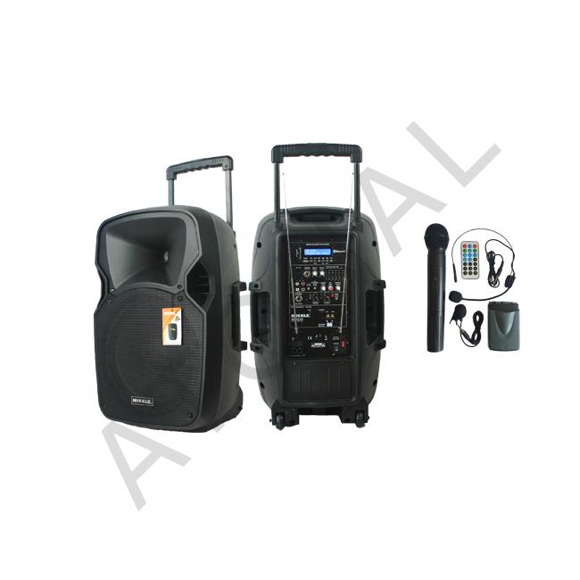 MP1230, 12" (30CM) 2 Yollu Portatif Kabin 300W