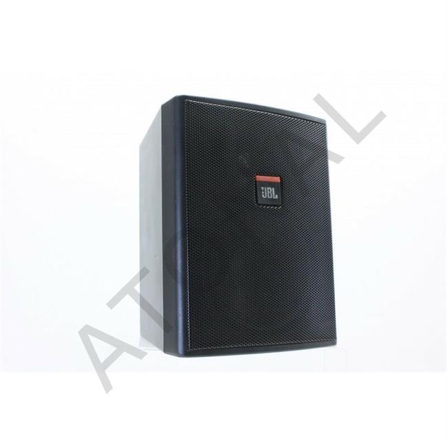 Control 25AV - 5 25-inch 200 Watt Pasif Kabin Hoparlör