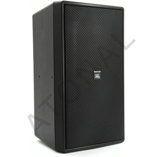  Control 29AV-1 8'' 300W Kabin Hoparlör