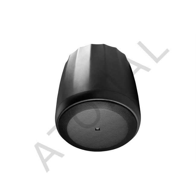CONTROL 60PS/T Pendant Subwoofer