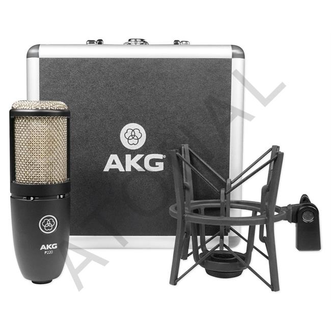 P220 Condenser Vokal Mikrofon